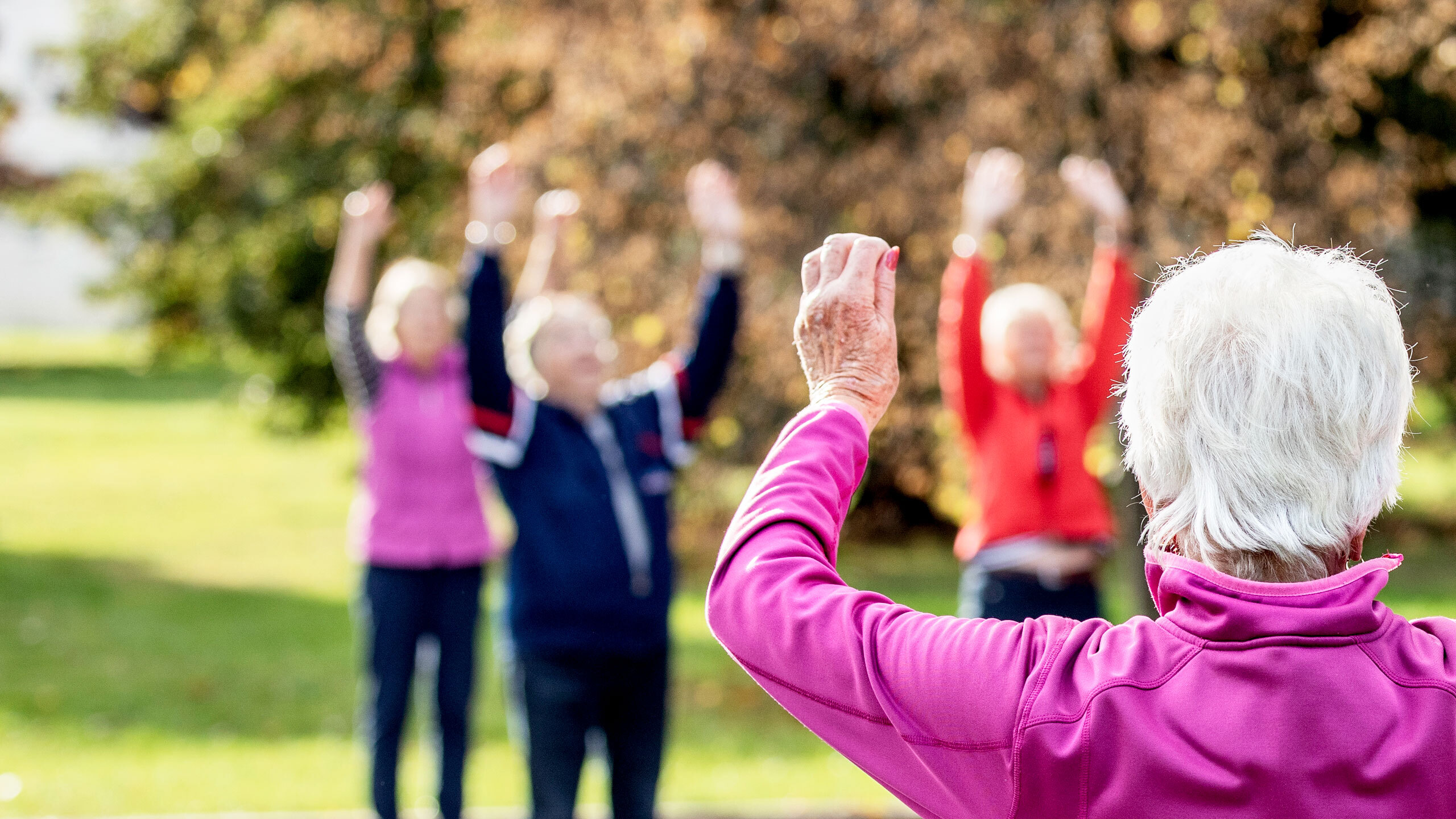 En grupp med äldre kvinnor tränar i en park.